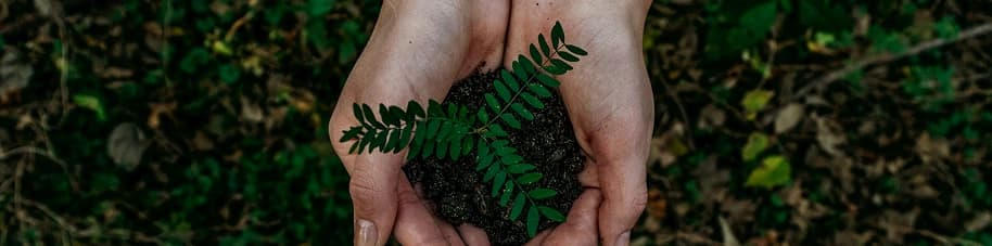 Sustainability and CSR