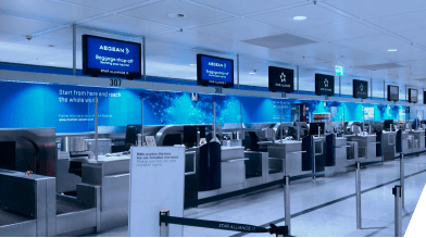 Airport & Passenger Processing